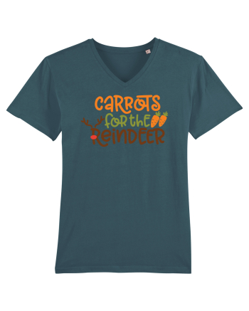 Carrots For Reindeer Stargazer