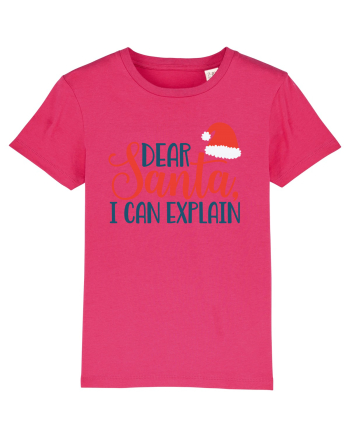Dear Santa I can Explain Raspberry