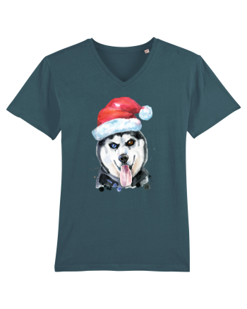 Husky Santa Hat Stargazer