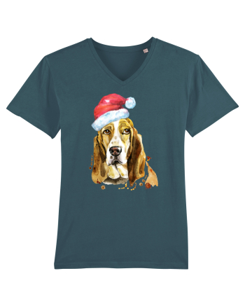 Droopy Dog Santa Hat Stargazer