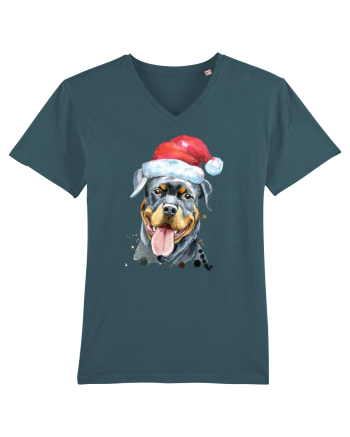 Rottweiler Santa Hat Stargazer