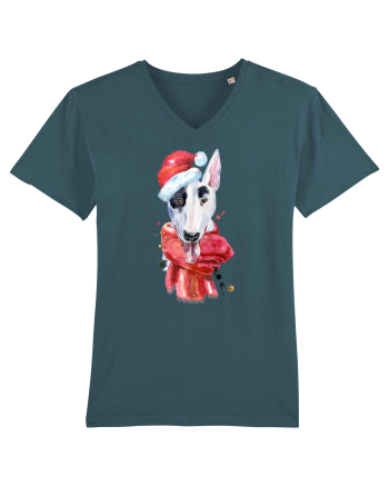 Bullterrier Santa Hat Stargazer