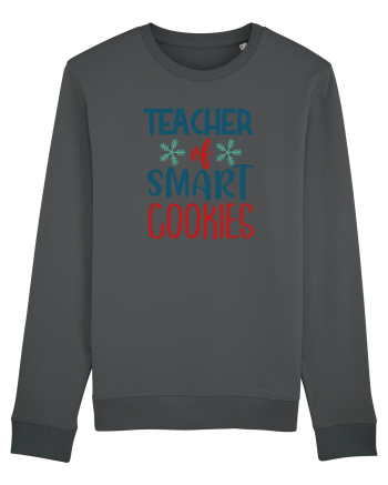 Teacher of Smart Cookies Anthracite