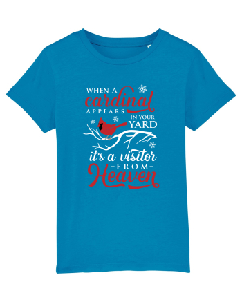 Cardinal Heaven Xmas Azur