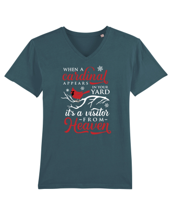 Cardinal Heaven Xmas Stargazer