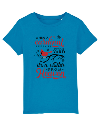 Cardinal Full Xmas Azur