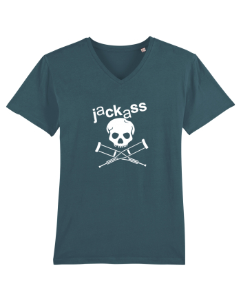 Jackass Stargazer