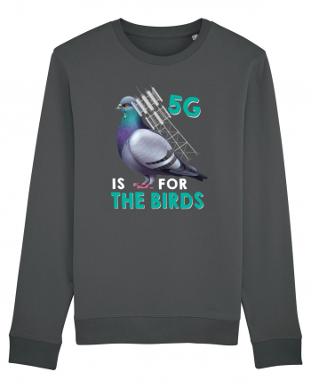 5G Is For The Birds Anthracite