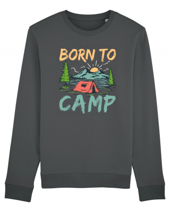 Born To Camp Anthracite