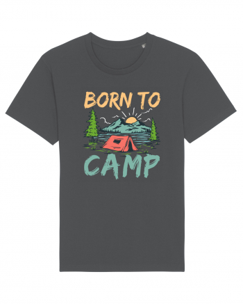 Born To Camp Anthracite