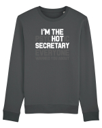 SECRETARY Bluză mânecă lungă Unisex Rise