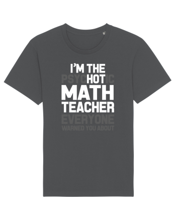 MATH TEACHER Anthracite