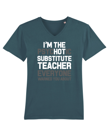 SUBSTITUTE TEACHER Stargazer