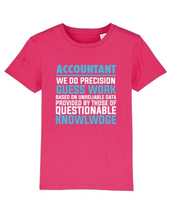 ACCOUNTANT Raspberry