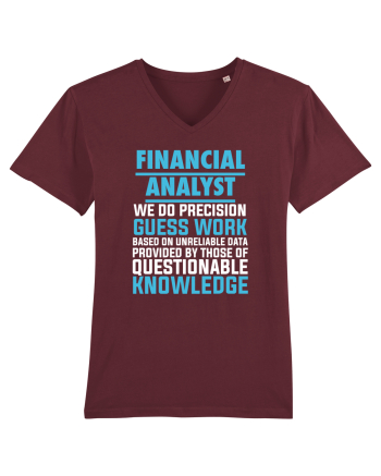 FINANCIAL ANALYST Burgundy