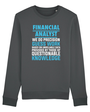 FINANCIAL ANALYST Anthracite