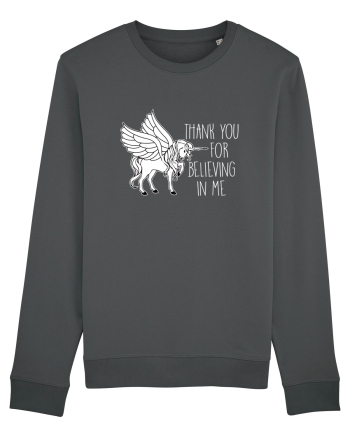 UNICORN Anthracite