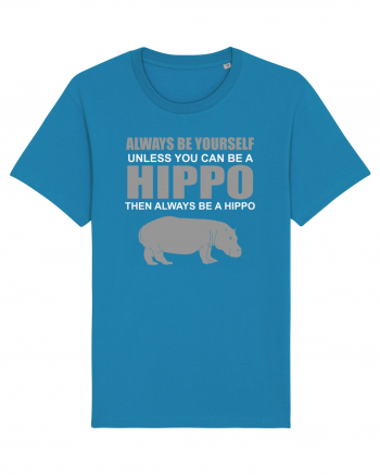 HIPPO Azur