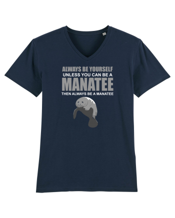 MANATEE French Navy