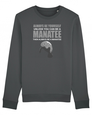 MANATEE Anthracite