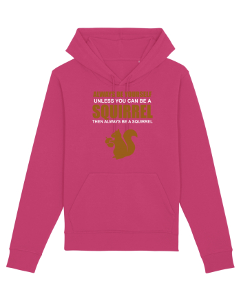 SQUIRREL Raspberry