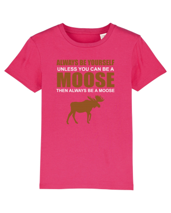 MOOSE Raspberry