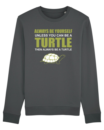 TURTLE Anthracite