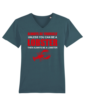 LOBSTER Stargazer