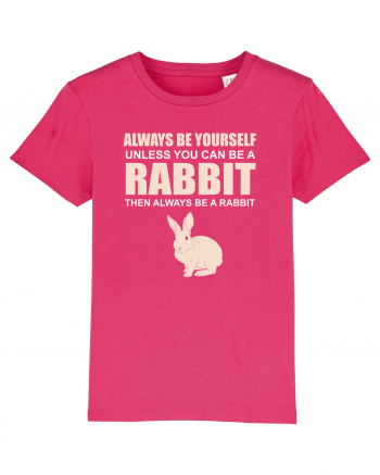 RABBIT Raspberry