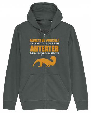 ANTEATER Anthracite