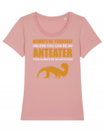 ANTEATER Tricou mânecă scurtă guler larg fitted Damă Expresser