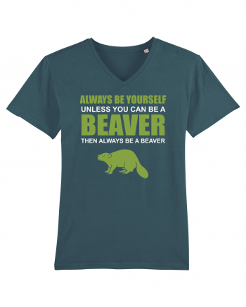 BEAVER Stargazer