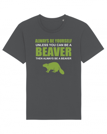 BEAVER Anthracite