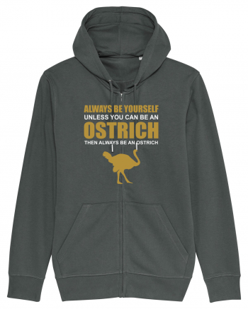 OSTRICH Anthracite