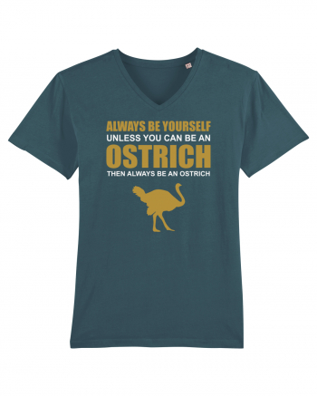 OSTRICH Stargazer