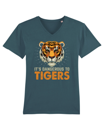 It's Dangerous To Tigers Stargazer