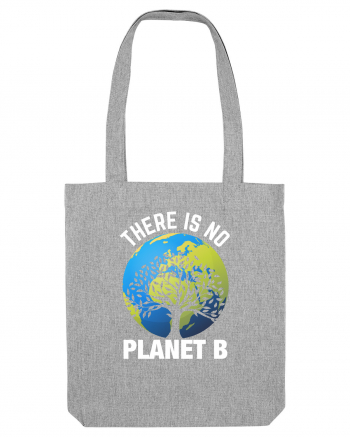 There Is No Planet B Heather Grey