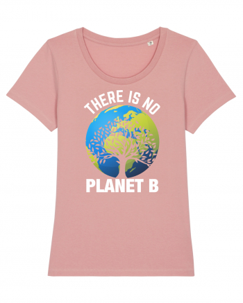 There Is No Planet B Canyon Pink