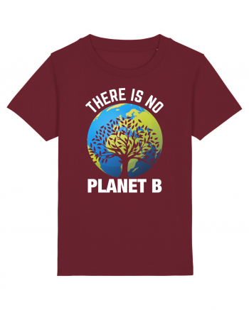 There Is No Planet B Burgundy