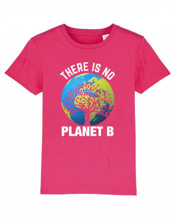 There Is No Planet B Raspberry