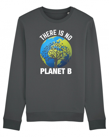 There Is No Planet B Anthracite