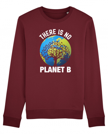 There Is No Planet B Burgundy