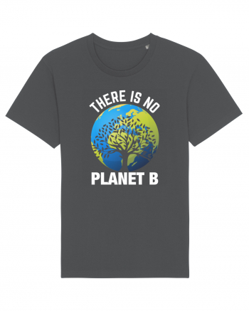 There Is No Planet B Anthracite