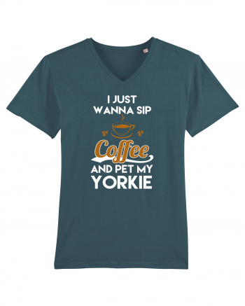 COFFEE AND YORKIE Stargazer