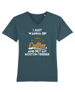 COFFEE AND BOSTON TERRIER Tricou mânecă scurtă guler V Bărbat Presenter