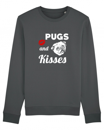 PUGS Anthracite