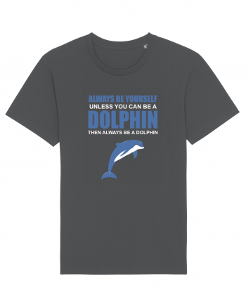 DOLPHIN Anthracite