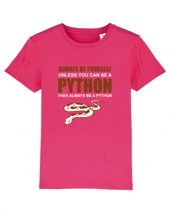 PYTHON Raspberry