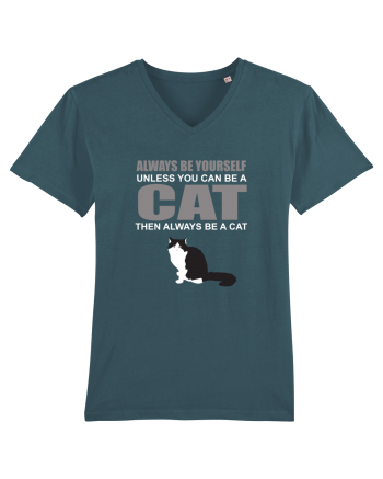 CAT Stargazer