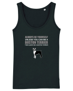 BOSTONTERRIER Maiou Damă Dreamer